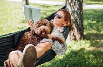 Easy methods to Make Relaxation Really feel Productive (So You Truly Do It)