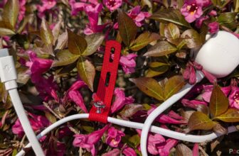 In the event you solely purchase one USB-C charger in 2025, make it this one