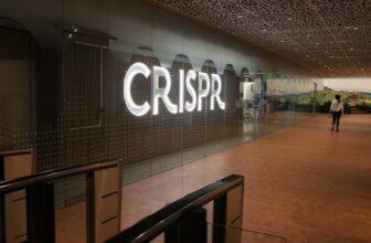 CRISPR can cease malaria unfold by modifying a single gene in mosquitos