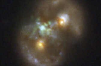 Webb spots ‘Infinity Galaxy’ that sheds gentle on black gap formation