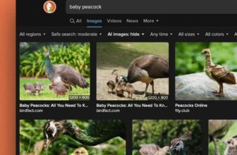 DuckDuckGo now permits you to filter out AI pictures in search outcomes