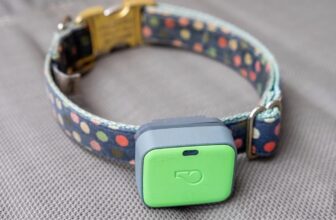 Whistle pet trackers are shutting down subsequent month