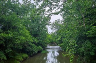 The Little Issues Publication #478 – Life, laughter, a number of nice meals!