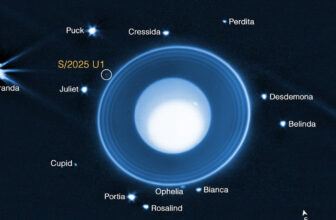 Webb telescope spots a brand new moon orbiting Uranus