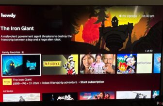 Hey Roku, do not set up apps with out my consent please