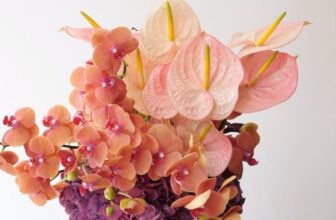 Floral Preparations – Shirley’s Wardrobe | Magnificence & Fashion Weblog